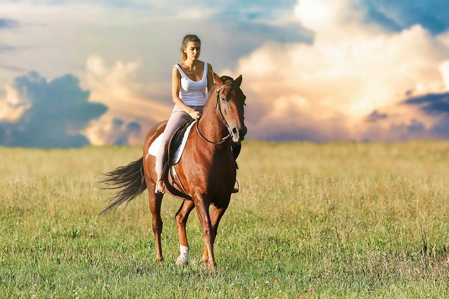 10 bonnes raisons de pratiquer l’équitation