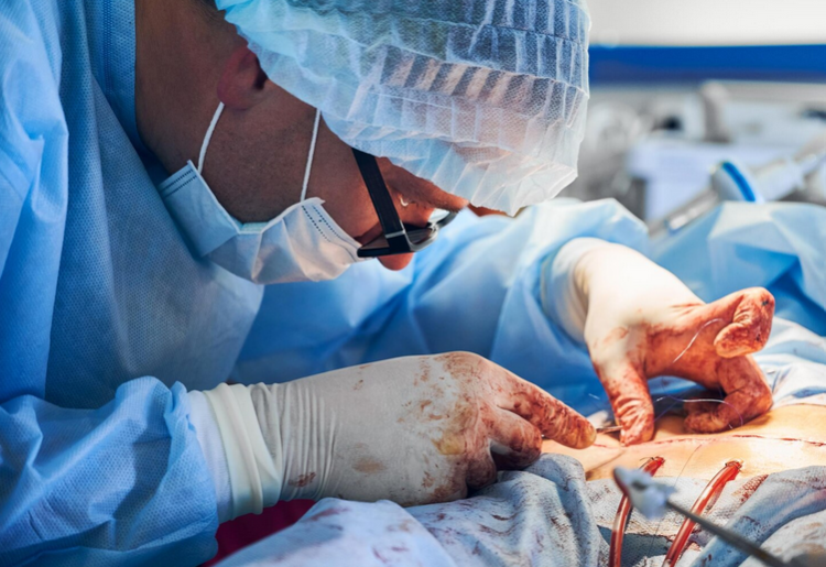 Chirurgie des ligaments croisés (TPLO) : la rééducation